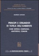 Principi e strumenti di tutela dellambiente. Come sistema complesso, adattativo, comune.pdf
