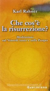 Che cosè la risurrezione? Meditazioni sul venerdì santo e sulla Pasqua.pdf
