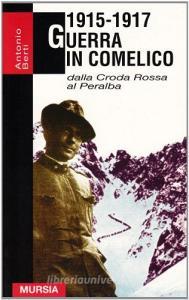 1915-1917. Guerra in Comelico.pdf