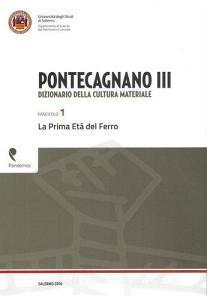 Pontecagnano III. Dizionario della cultura materiale vol.1.pdf