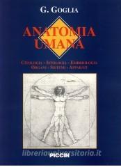 Anatomia. Anatomia umana.pdf