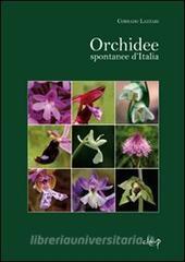 Orchidee spontanee dItalia.pdf