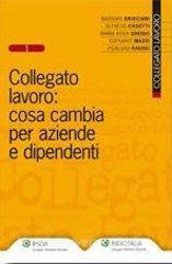 Collegato lavoro: cosa cambia per aziende e dipendenti.pdf