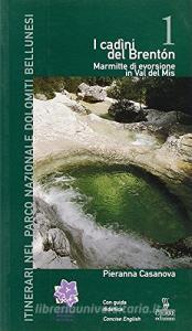 I cadini del Brentón. Marmitte di evorsione in val del Mis.pdf