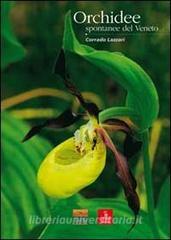 Orchidee spontanee del Veneto.pdf