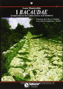 I bacaudae. Tensioni sociali tra tardoantico e alto Medioevo.pdf