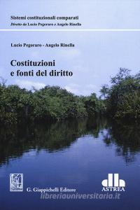 Costituzioni e fonti del diritto.pdf
