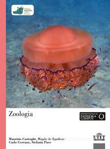 Zoologia.pdf