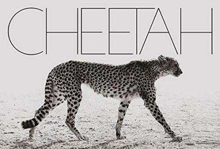 Cheetah. Ediz. illustrata.pdf