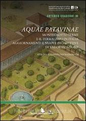 Aquae Patavinae. Montegrotto e il termalismo in Italia. Aggiornamenti e nuove prospettive di valorizzazione.pdf