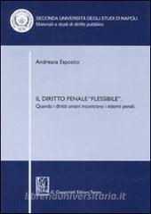 Il diritto penale «flessibile». Quando i diritti umani incontrano i sistemi penali.pdf