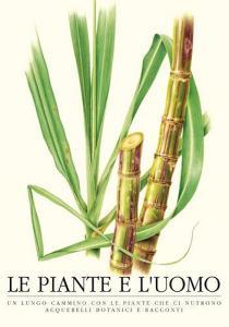 Le piante e luomo. Un lungo cammino con le piante che ci nutrono. Acquarelli botanici e racconti. Ediz. italiana e inglese.pdf