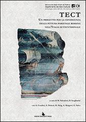 Ebook TECT Un progetto per la conoscenza della pittura parietale romana nell’Italia settentrionale di M. Salvadori, D. Scagliarini edito da Padova University Press
