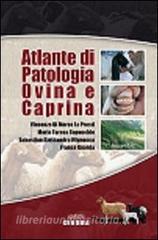 Atlante di patologia ovina e caprina.pdf