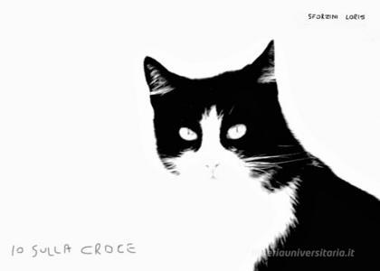 Io sulla croce. Ediz. illustrata.pdf