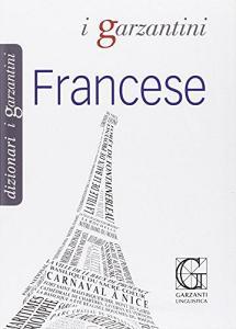 Dizionario francese.pdf