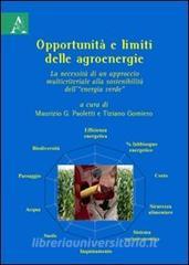 Opportunità e limiti delle agroenergie: la necessità di un approccio multicriteriale alla sostenibilità dell«energia verde».pdf