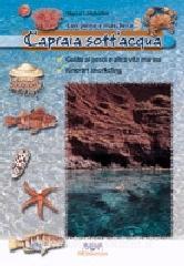 Capraia sottacqua. Guida ai pesci e altra vita marina. Itinerari snorkeling. Con pinne e maschera vol.3.pdf