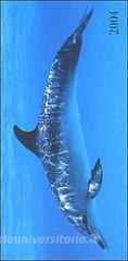 Dolphins. Agenda settimanale 2004 orizzontale.pdf