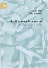 Metalli e minerali industriali. Parametri geominerari ed economici.pdf