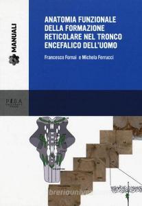 Anatomia funzionale della formazione reticolare nel tronco encefalico delluomo.pdf