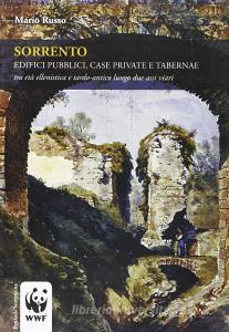 Sorrento. Edifici pubblici, case private e tabernae tra età ellenistica e tardo-antico lungo due assi viari.pdf