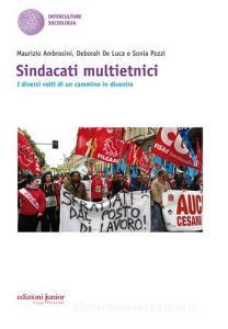 Sindacati multietnici. I diversi volti di un cammino in divenire.pdf