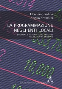 La programmazione negli enti locali. Struttura e interpretazione contabile del bilancio di previsione.pdf