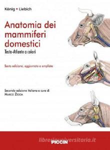 Anatomia dei mammiferi domestici.pdf