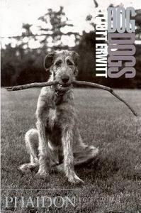 Dog dogs.pdf
