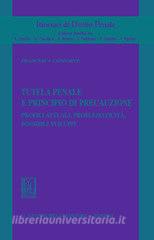 Tutela penale e principio di precauzione. Profili attuali, problematicità, possibili sviluppi.pdf