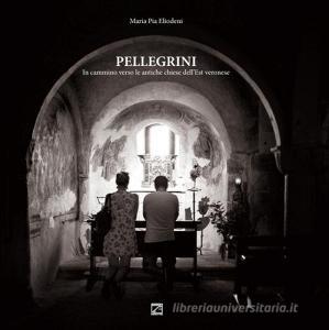 Pellegrini. In cammino verso le antiche chiese dellest veronese.pdf