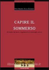 Capire il sommerso. Unanalisi del lavoro irregolare al di là dei luoghi comuni.pdf