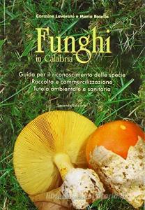 Funghi in Calabria. Guida per il riconoscimento delle specie, raccolta e commercializzazione, tutela ambientale e sanitaria.pdf