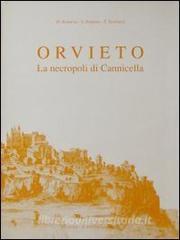 Orvieto. La necropoli di Cannicella. Scavi della Fondazione per il Museo «C. Faina» e dellUniversità di Perugia (1977).pdf