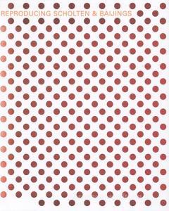 Reproducing Scholten & Baijings.pdf