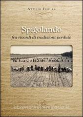 Spigolando fra ricordi di tradizioini perdute.pdf