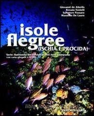 Isole flegree (Ischia e Procida). Batimetria dei fondali marini della Campania con carta allegata 1:30.000.pdf