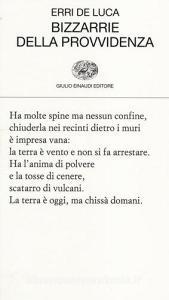 Bizzarrie della provvidenza.pdf