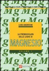 La pressocolata delle leghe di magnesio vol.1.pdf