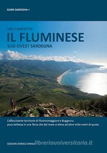 Il Fluminese. Sud ovest Sardegna.pdf