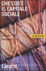 Che cosè il capitale sociale.pdf