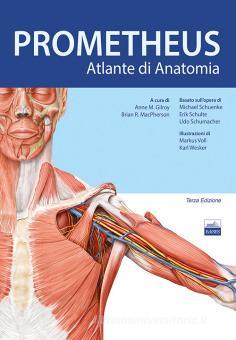 Prometheus Altante Di Anatomia Gilroy Anne M Macpherson Brian R Edises 9788833190105 Libreria Universitaria