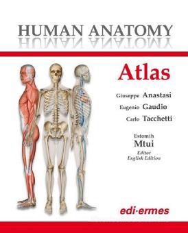 human anatomy atlas 7.4.01 human anatomy atlas 7.4.01