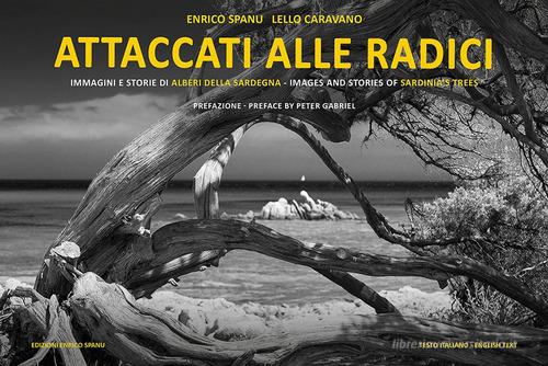 Attaccati Alle Radici Immagini E Storie Di Alberi Della Sardegna Ediz Italiana E Inglese Spanu Enrico Caravano Lello Spanu Trama Libro Libreria Universitaria