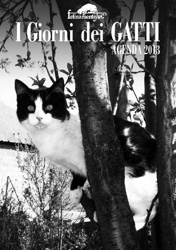 I giorni dei gatti. Agenda 2013 edito da Ugo Mursia Editore