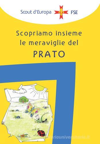 Il campo di orientamento al servizio. Scopriamo insieme le meraviglie del prato di Associazione Italiana Guide e Scout edito da Edizioni Scouting