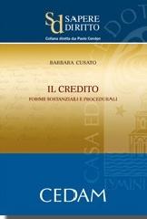 Il credito. Forme sostanziali e procedurali di Barbara Cusato edito da CEDAM