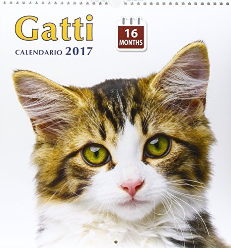 Gatti. Calendario grande 16 mesi 2016 edito da Millenium