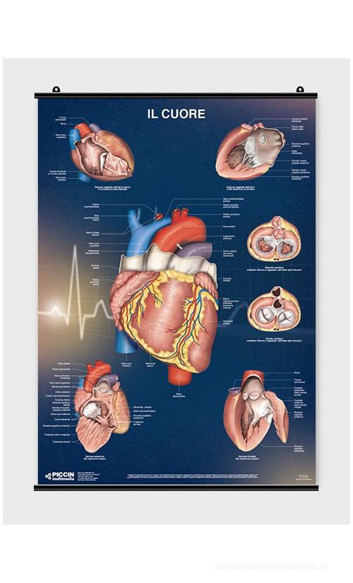 Il cuore di Lucia Manzoli, Stefano Ratti edito da Piccin-Nuova Libraria